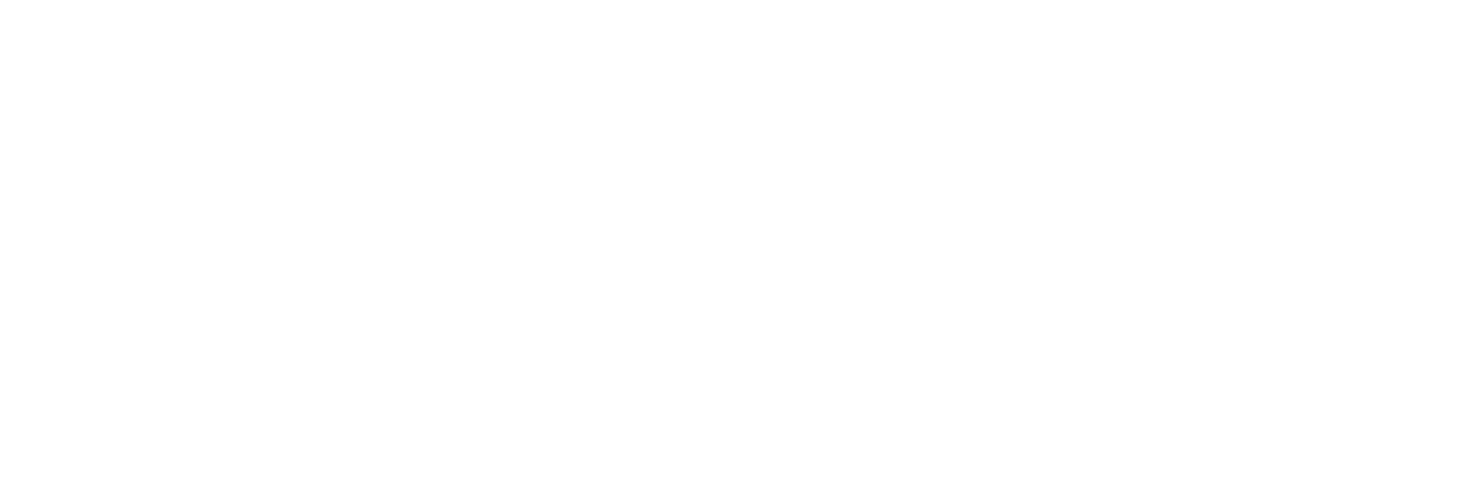 Student Verhuis Service