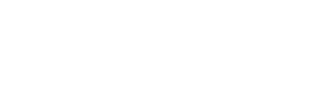 Student Verhuis Service