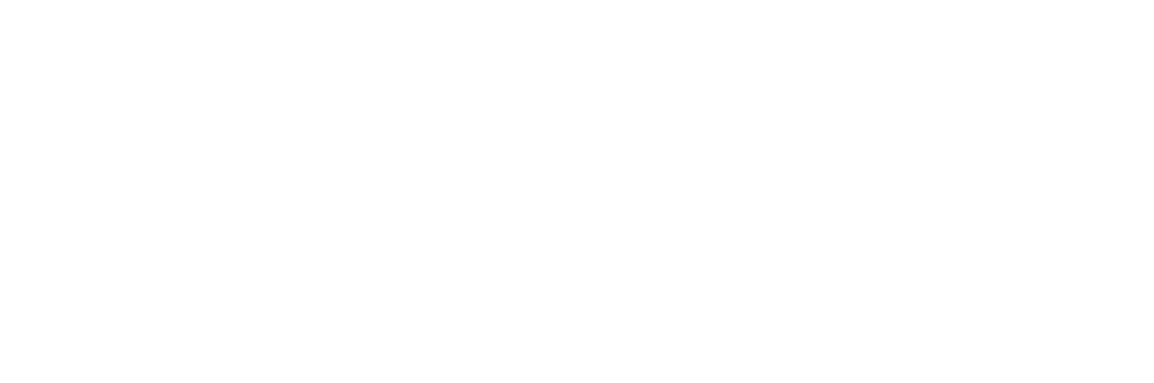 Student Verhuis Service