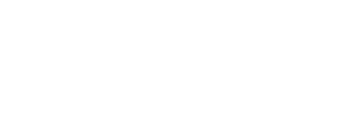Student Verhuis Service